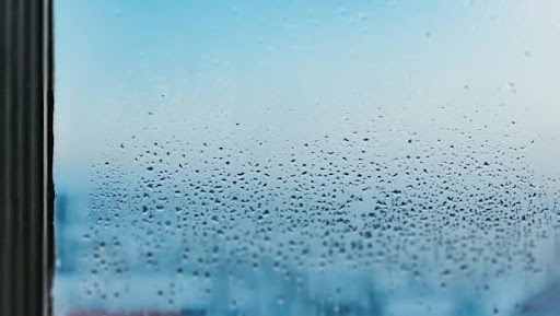 Window Condensation – Causes, Prevention, and Solutions