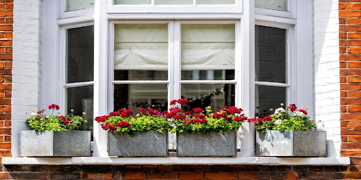 Window Safety for Children and Pets