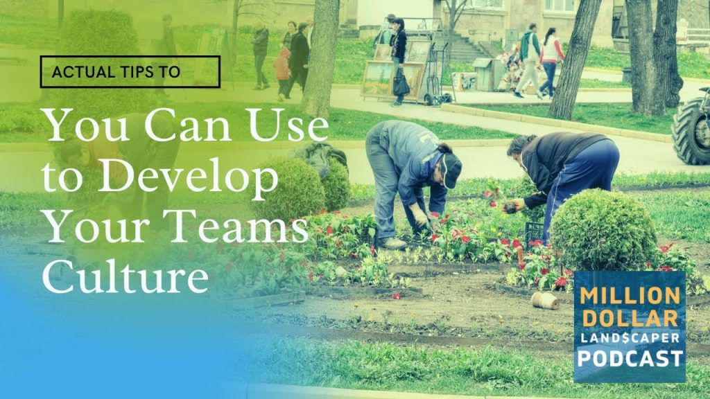 Actual Tips You Can Use to Develop Your Teams Culture