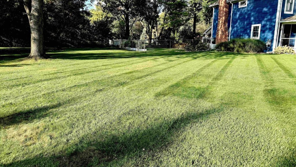 How Much Are You Charging To Cut This Lawn?