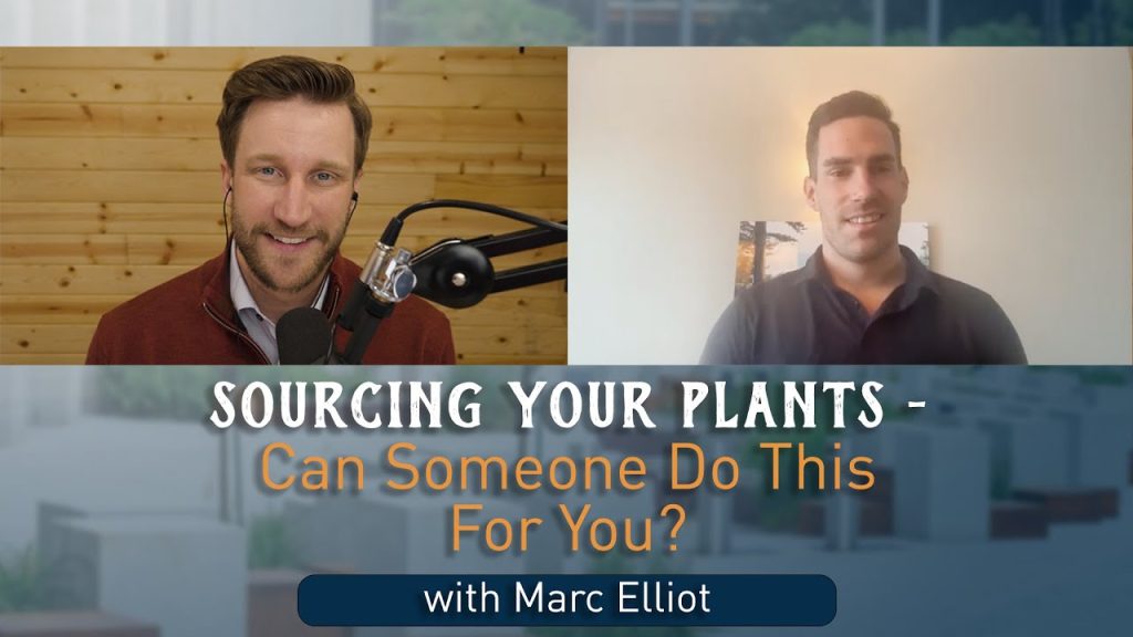 How To Outsource Your Plant Sourcing