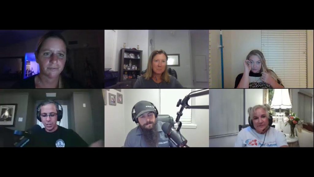 Pool Nation Podcast