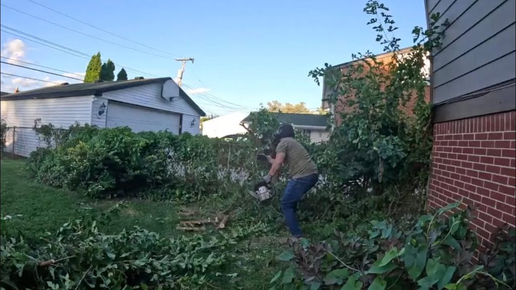 The Backyard Bush Massacre (No Mercy for Shrubs)