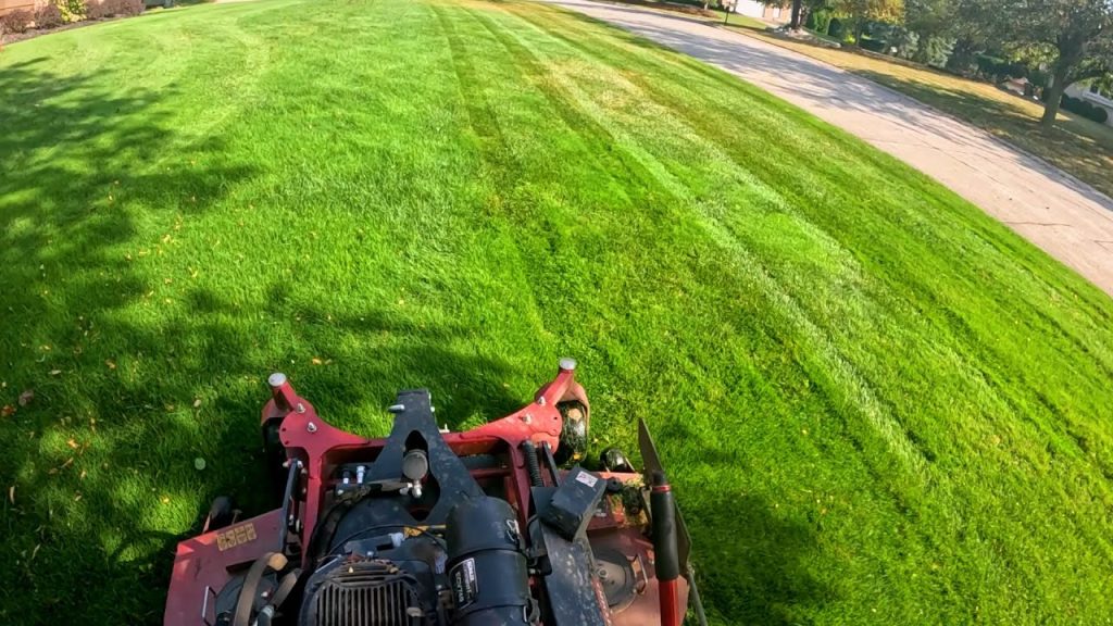 You Won’t Believe How Cooked These Lawns Got… Toro Multiforce Edition